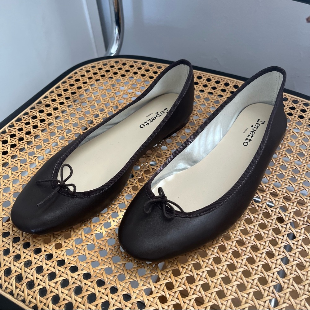 Repetto Cendrillon Ballerina Flats